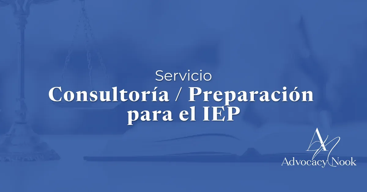 Service - IEP Consulting prep.webp